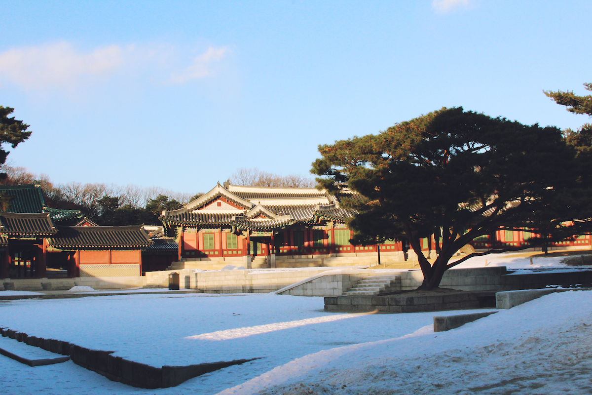 changdeokgung palace korea 2